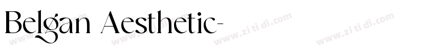 Belgan Aesthetic字体转换